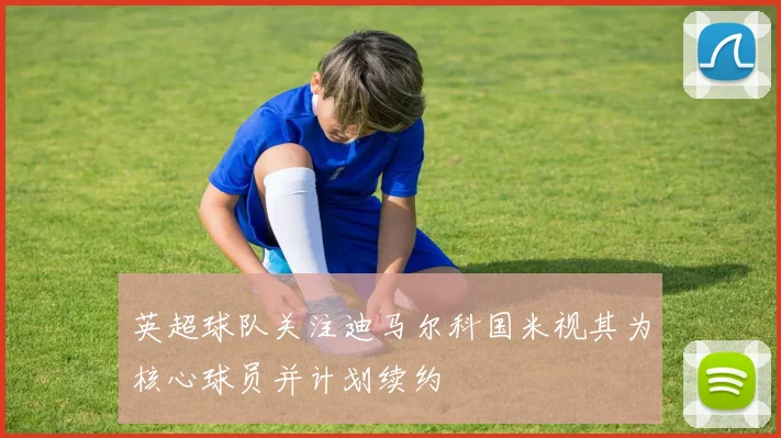 英超球队关注迪马尔科国米视其为核心球员并计划续约