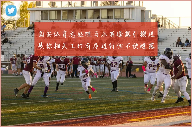 国安体育总经理马永明透露引援进展称相关工作有序进行但不便透露名字