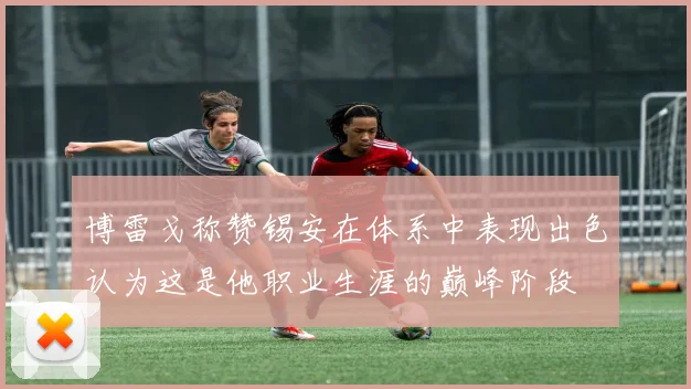 博雷戈称赞锡安在体系中表现出色认为这是他职业生涯的巅峰阶段