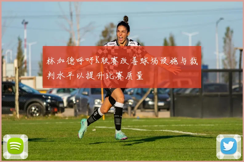 林加德呼吁K联赛改善球场设施与裁判水平以提升比赛质量